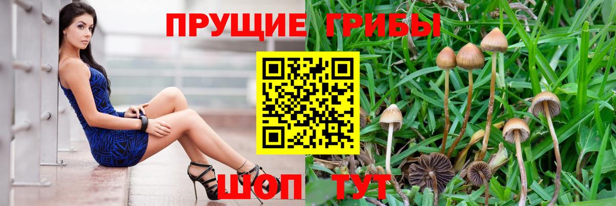 Кинель  Псилоцибиновые грибы мухоморы  Вход с VPN 